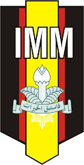 Logo IMM