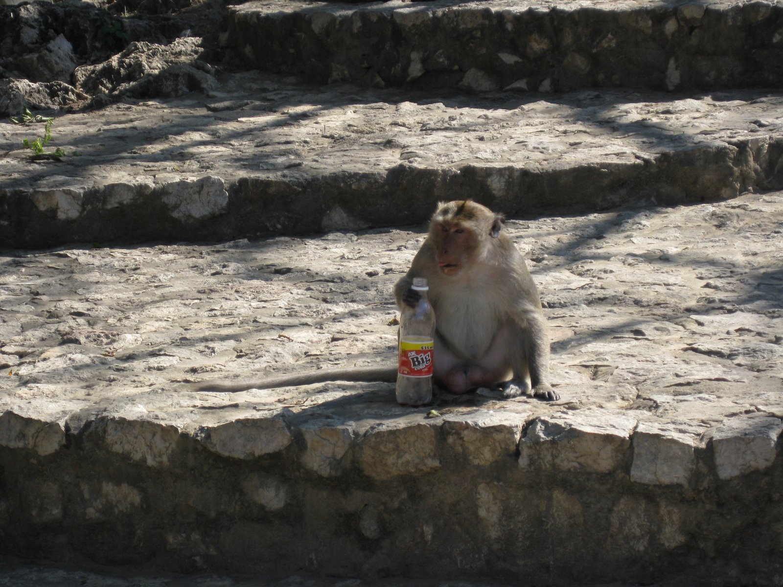 [IMG_0422[1]]