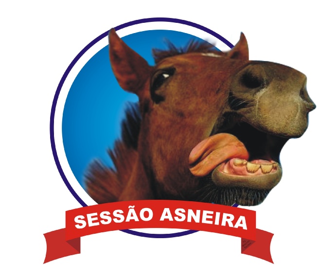 sessao_asneira_box.jpg
