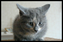 Min bilder
