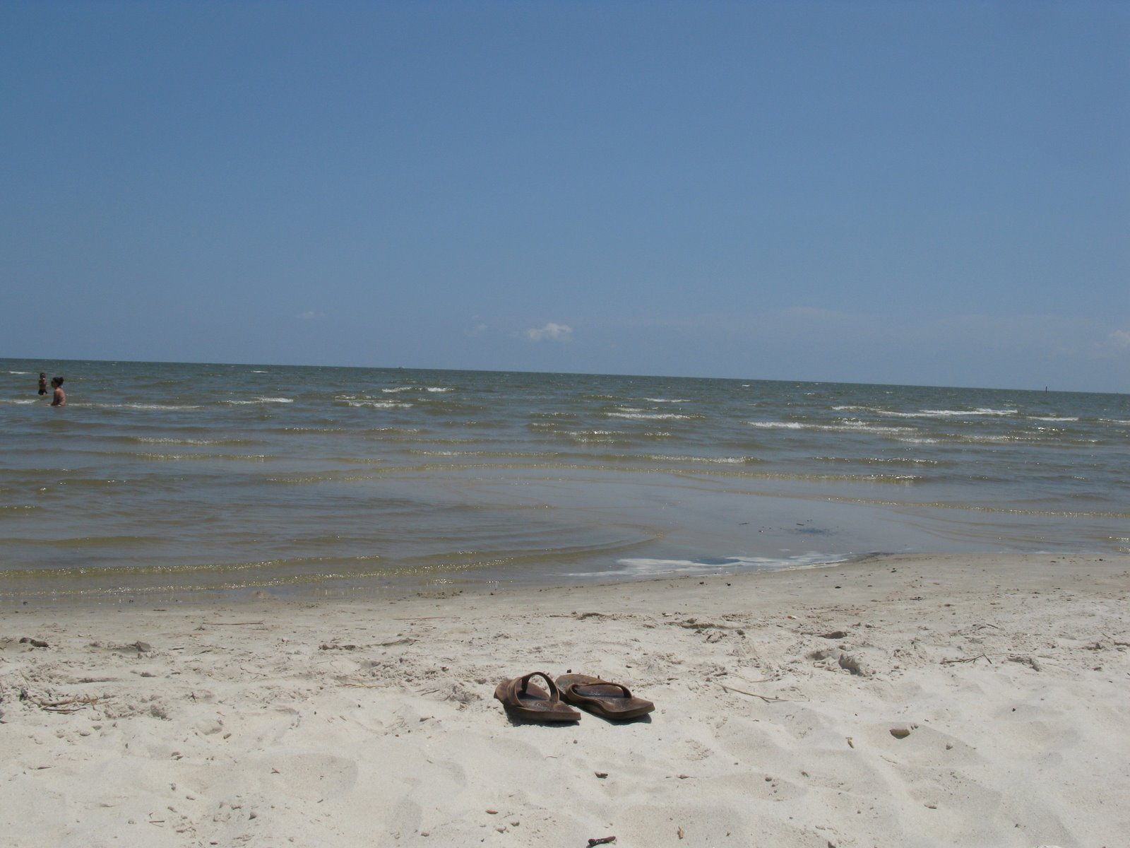 [IMG_0142.JPG]