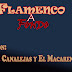 Vídeo - Flamenco a fondo