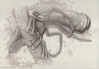 rencontre swampy solution