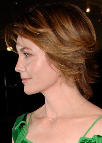 Hairstyles Google Directory Best Hair Straightener For Short Hair