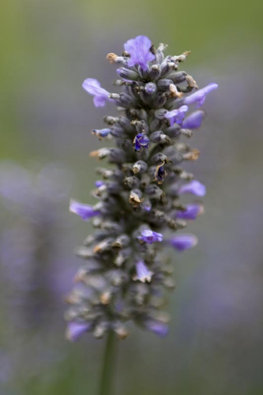 [IMG_4585.jpg]