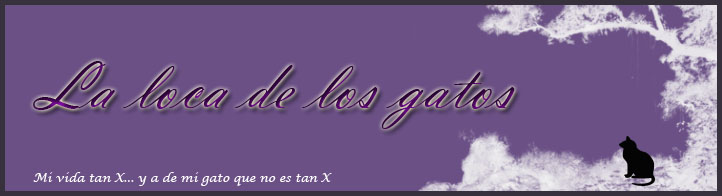 La loca de los gatos