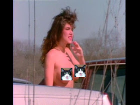 Teenage Catgirls in Heat (1997)