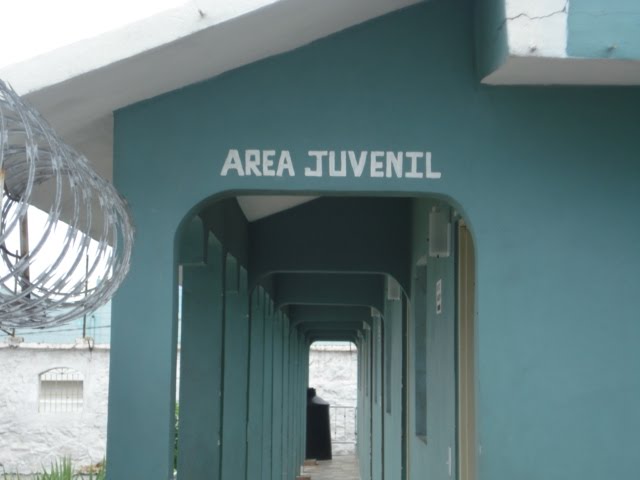 Area Juvenil
