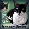 Caesar M-Cat member