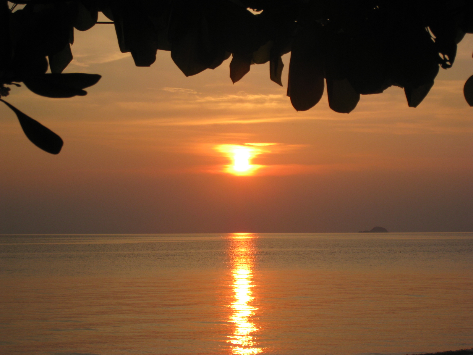 [IMG_1648.JPG]
