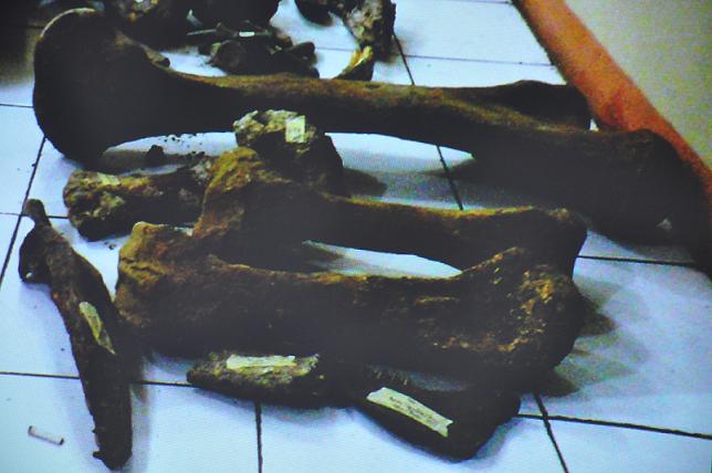 Pilihan berlangganan perdagangan
