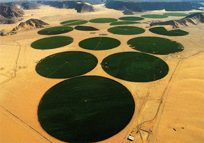 agricoltura+intensiva+in+giordania+nel+deserto.jpg