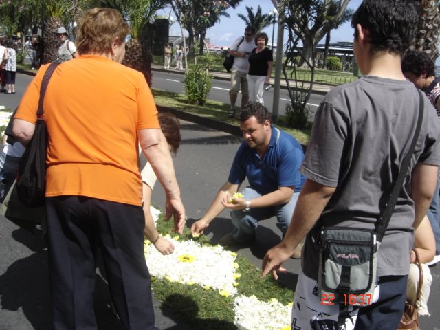 [DSC09251.JPG]