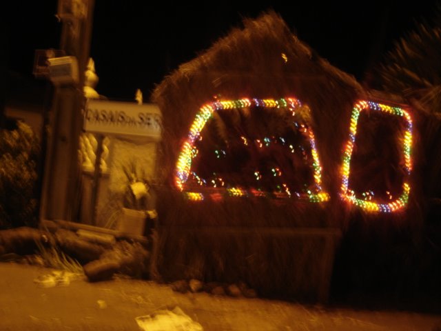 [DSC01462.JPG]