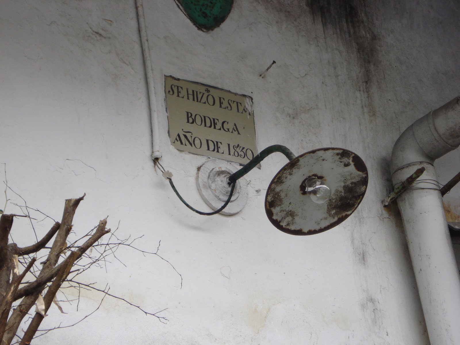 [DSC04598.JPG]