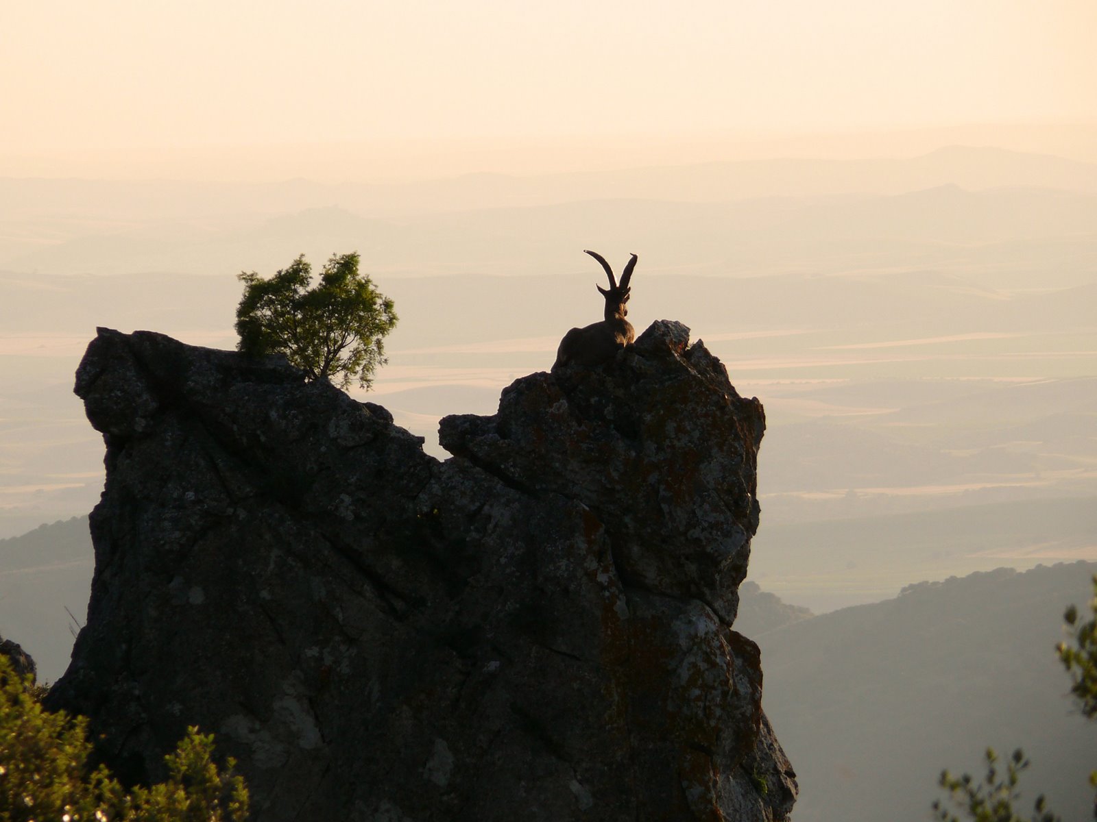 [Foto2_P1260398_3p.jpg-8.jpg]