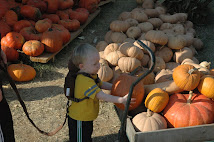 Picking Pumpkins