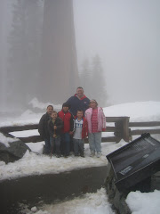 Giant Sequoias