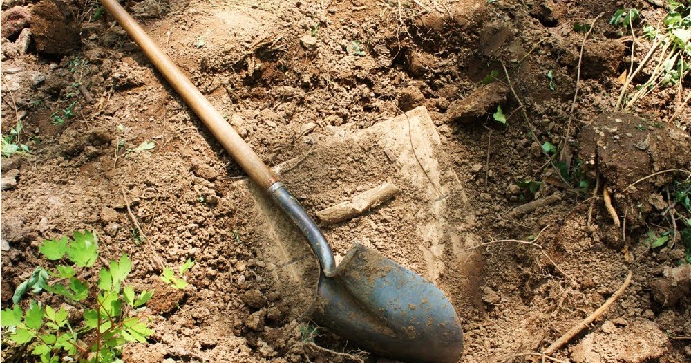 Admiring Christ Where Do You Find Buried Treasure?