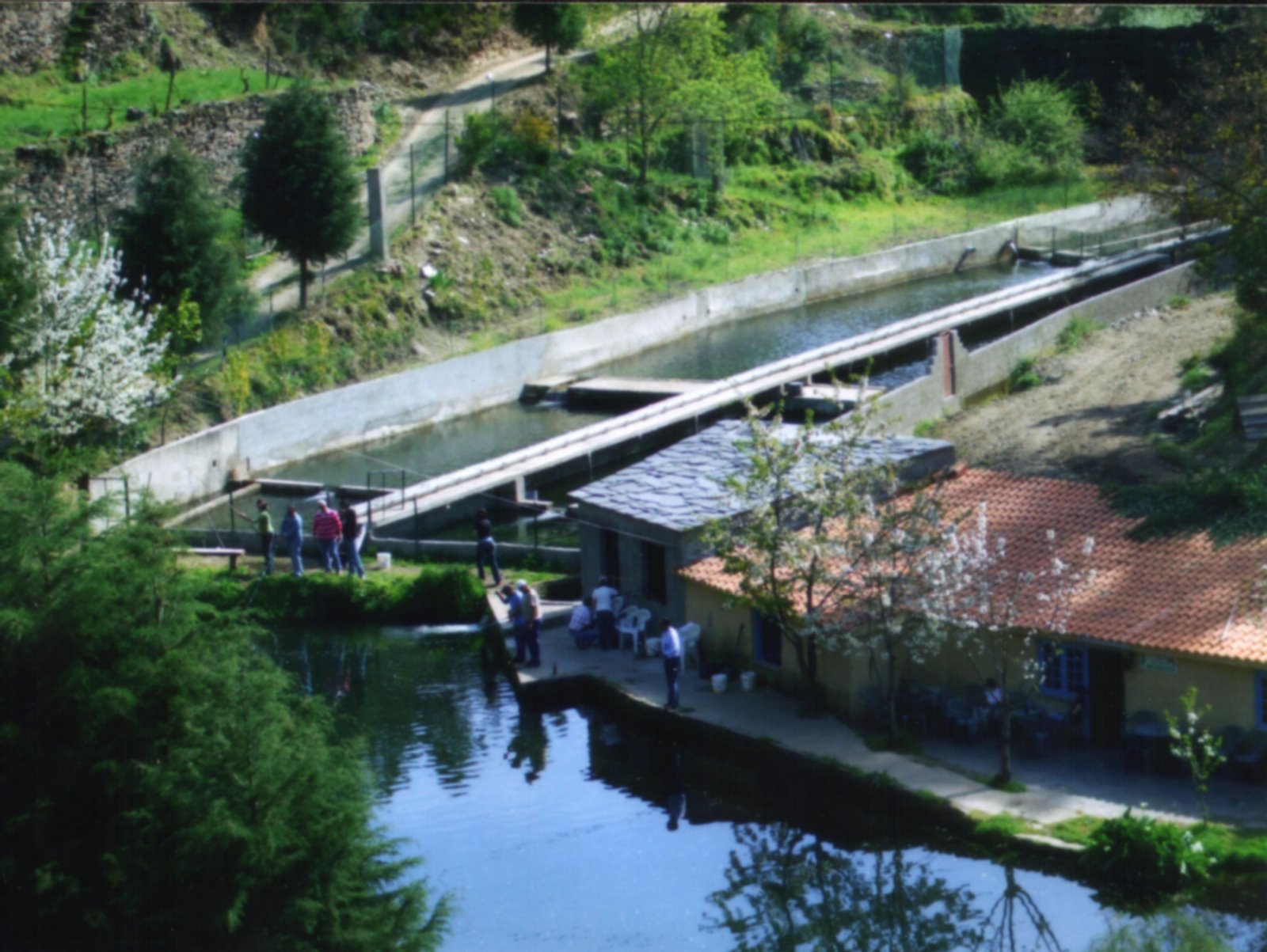 [viveiro.jpg]