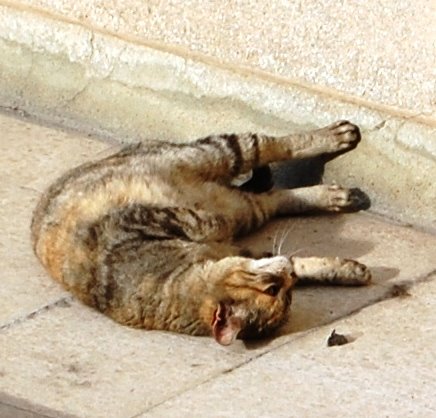 [DSC_0132.JPG]
