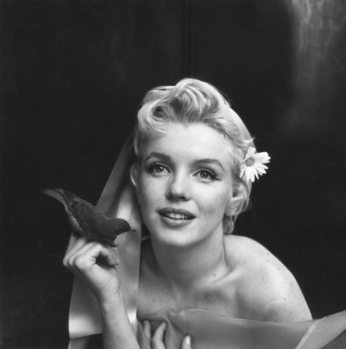 [Marilyn+Monroe+1956.jpg]