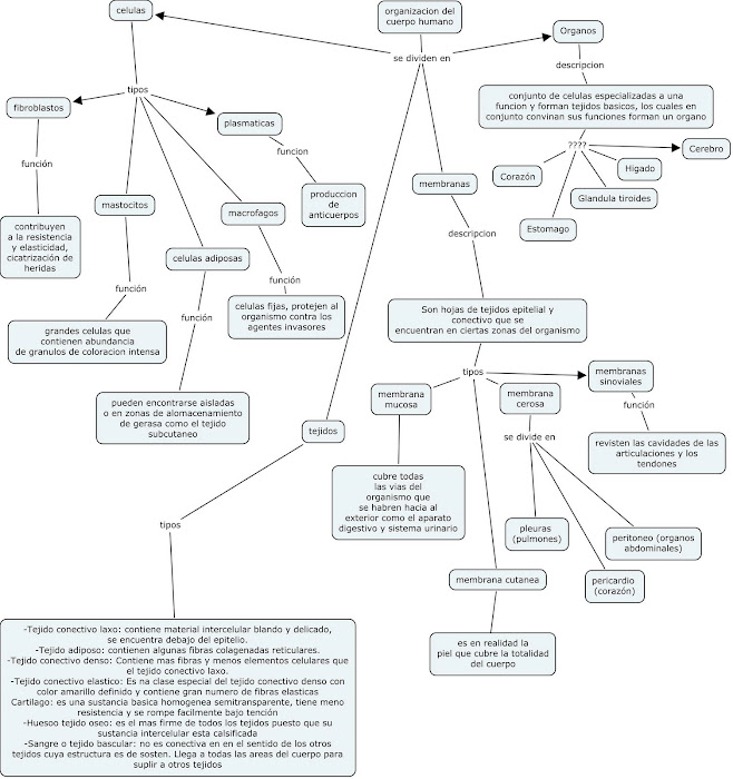 mapa conceptual