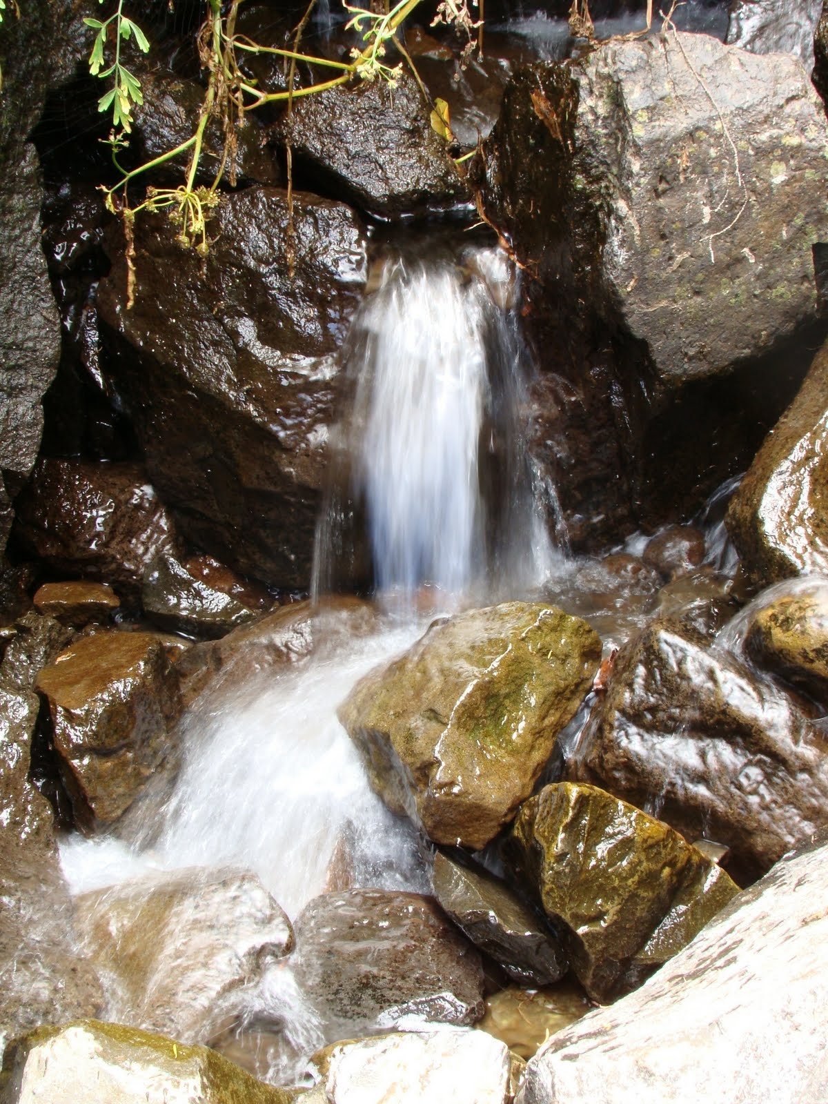 [DSC00790.JPG]