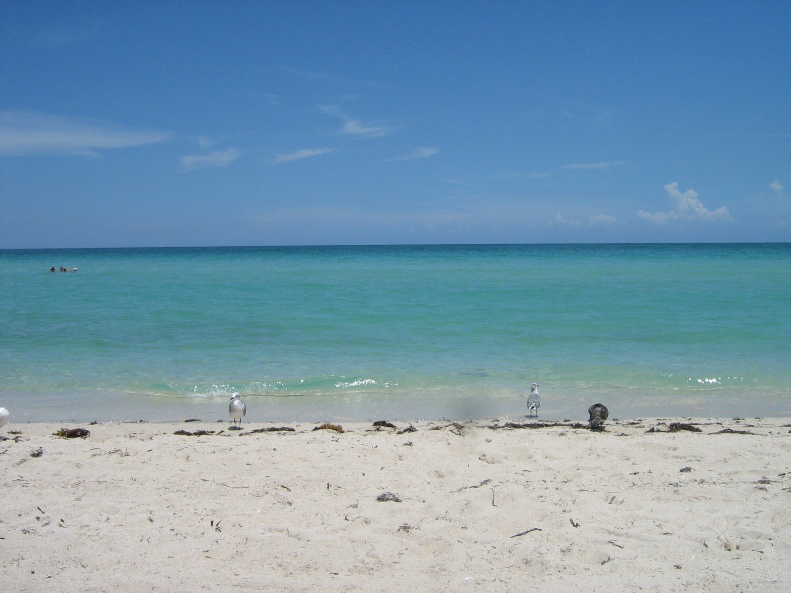 [IMG_4032.JPG]