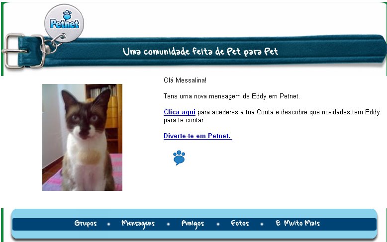 [ps-petnet02.bmp]