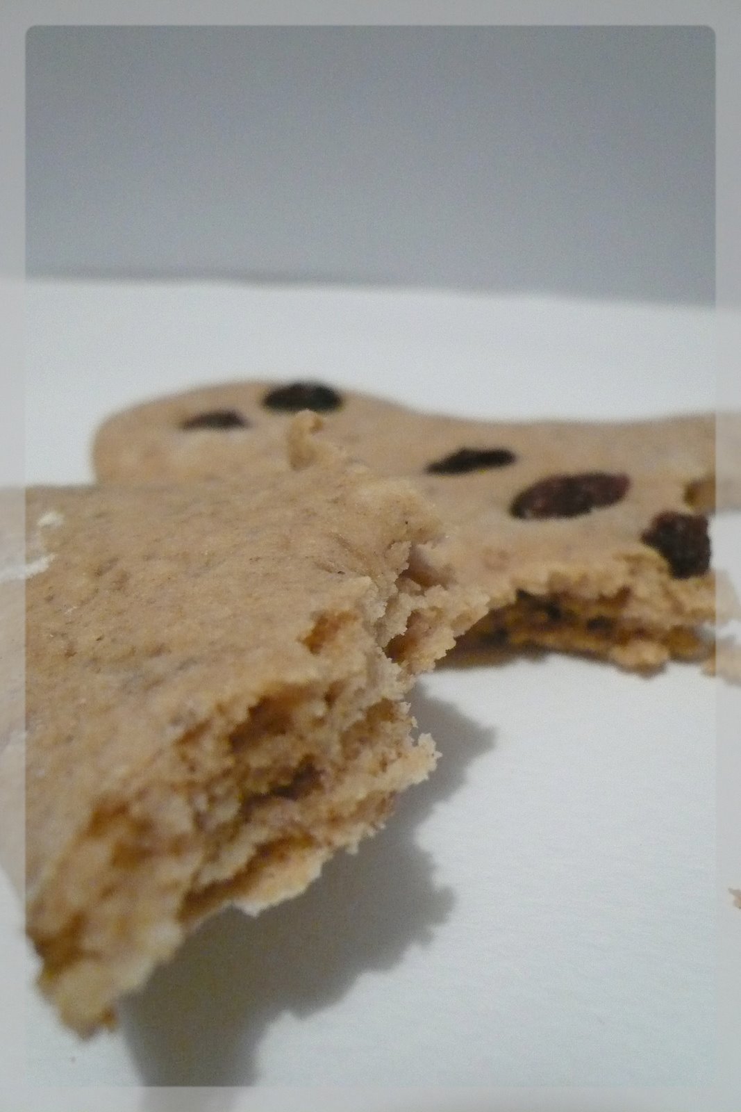 [DÃ©cembre+2007+046.jpg]