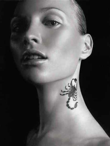 Scorpion Parts: These sort of scorpion tattoo design. Scorpion Parts: These sort of