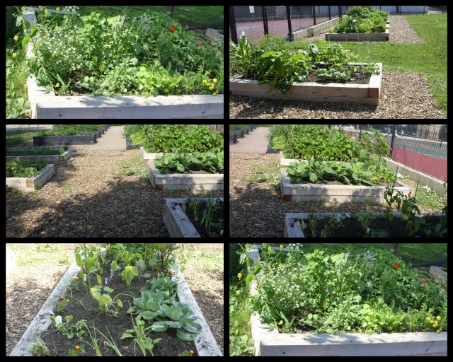 June 2010 ~ Home Design Ideas and Alternative