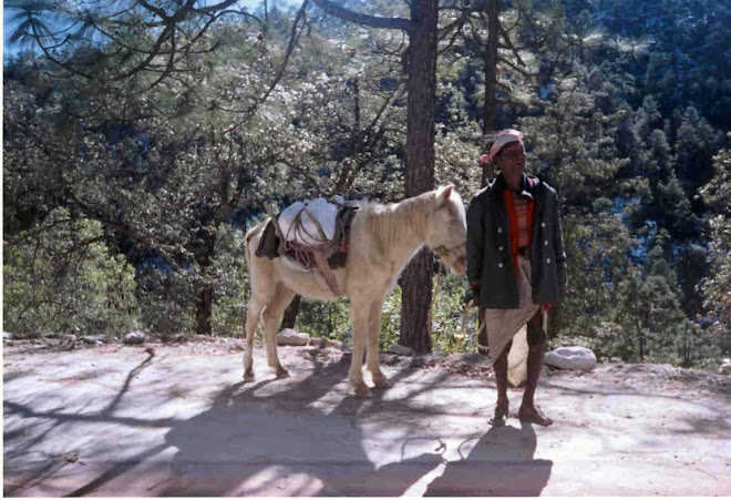 ANCIANO TARAHUMARA