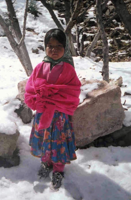 NIÑA EN LA NIEVE