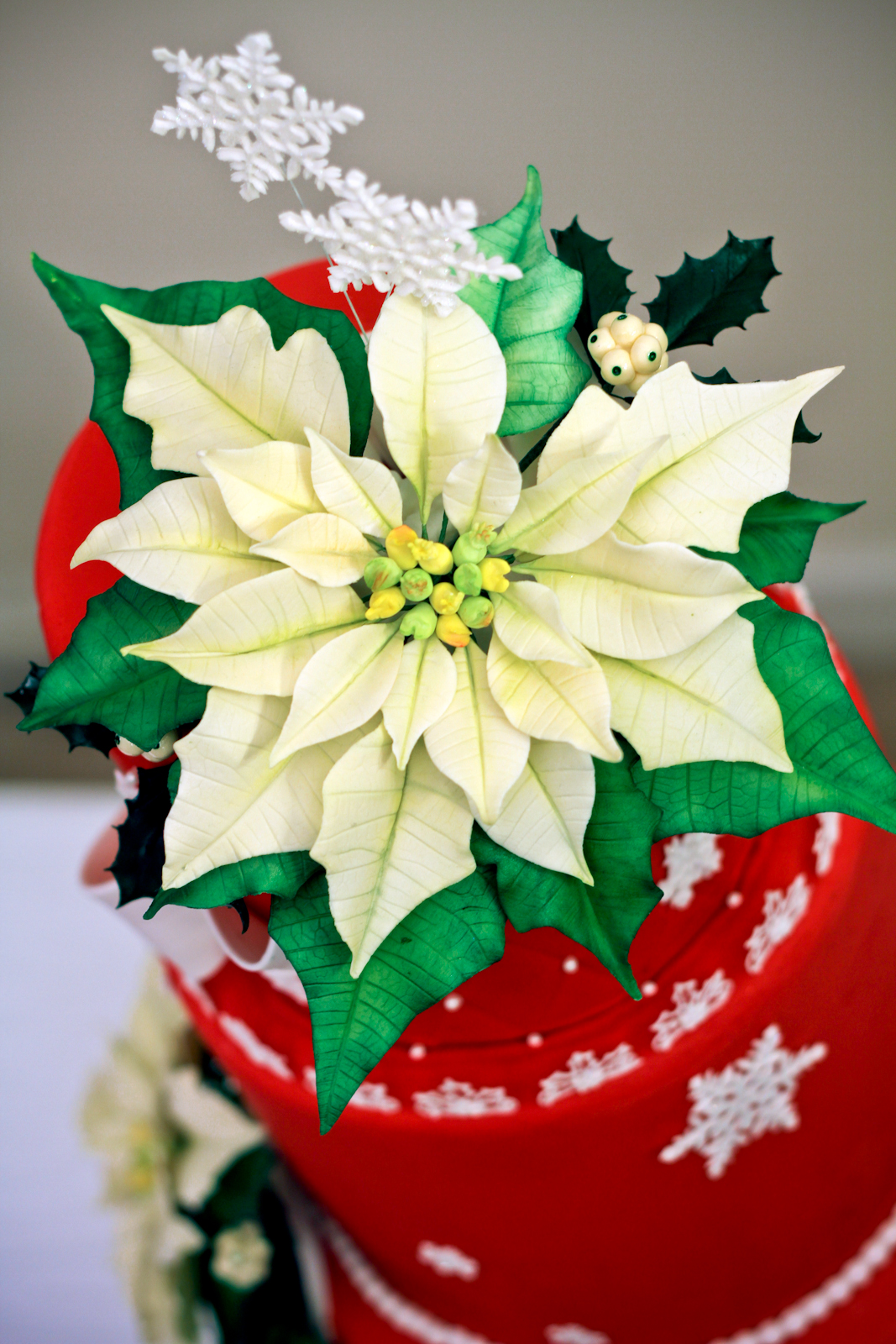 The Cake Engineer Holiday Poinsettia Cake