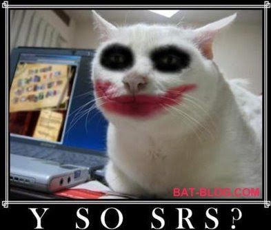 Funny Batman Pics YSOSRS+joker+cat