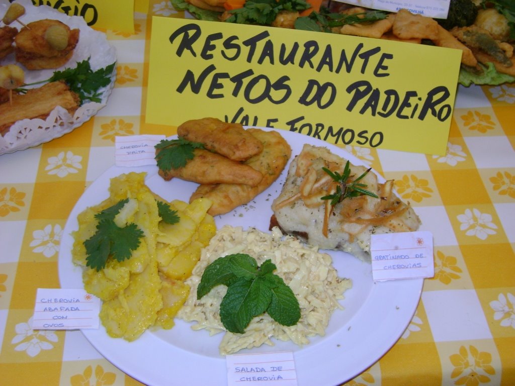 [Cópia+de+DSC00603.JPG]