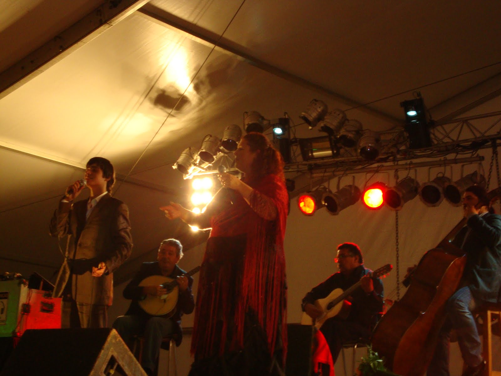 [DSC00086.JPG]