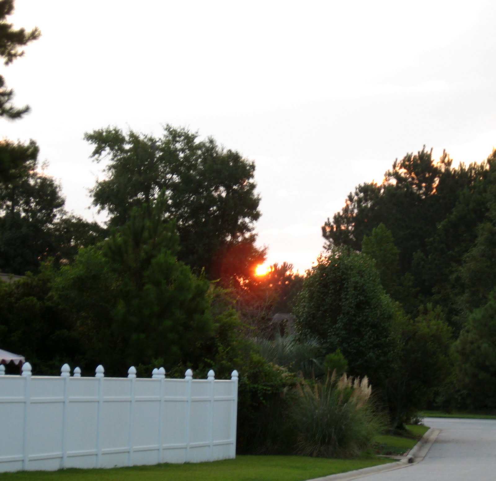 Copper sunrise essay 05 picture