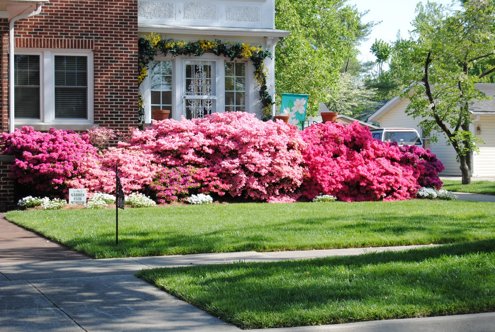 To The Moon And Back 42nd Annual DogwoodAzalea Festival