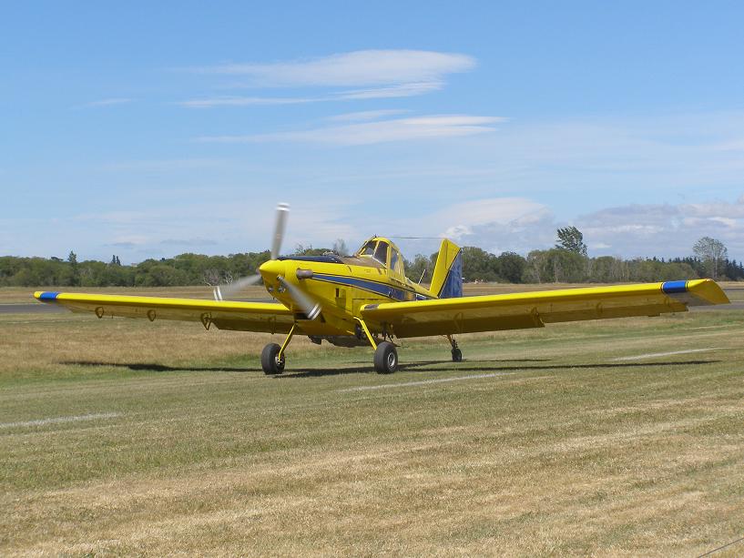 [P1174242_blogger.JPG]