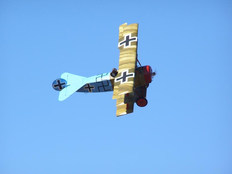 [P4115308_blogger.JPG]