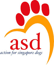 ASD in Action!