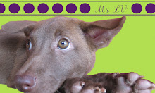 OPT TO ADOPT "LV"