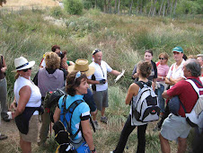 Siguenza- Nacimiento Rio Henares