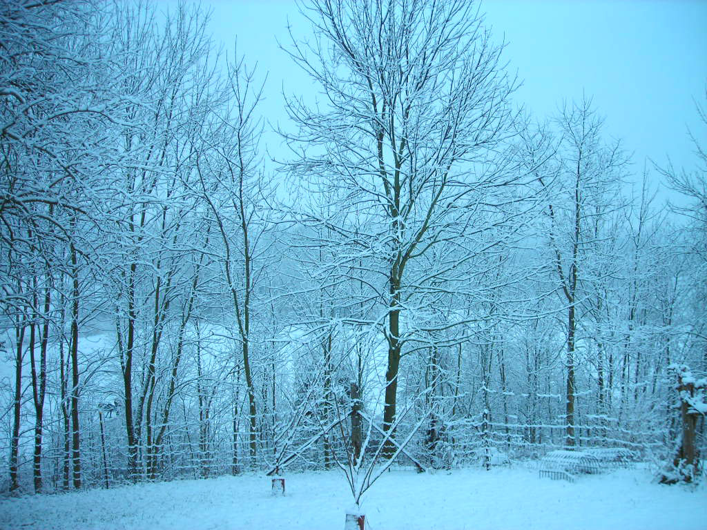 [snow.jpg]
