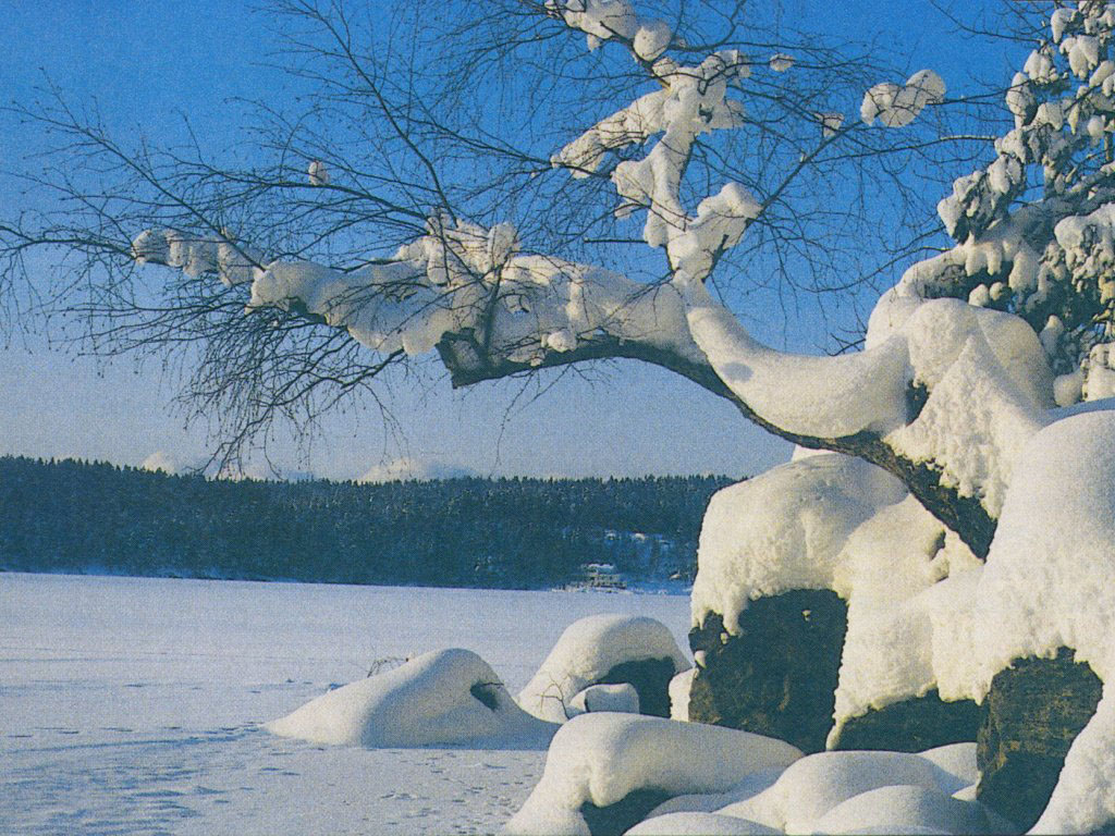 http://2.bp.blogspot.com/_2n9G8hS3AbI/TR1ETklS9BI/AAAAAAAABJw/a_NJe3VFIs4/s1600/Best%252BWinter%252BWallpaper.jpg