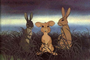 Watership Down | Photo Gallery, Picture Gallery | Watership Down