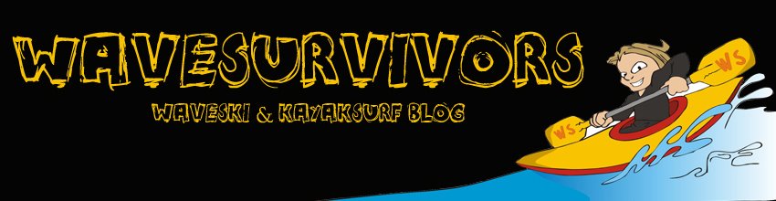 Blog Wavesurvivors